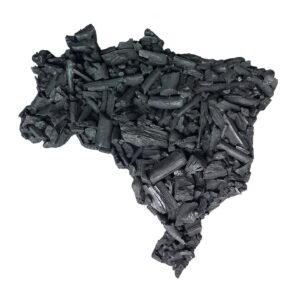 Brasil Carvão• 2014 • Escultura em carvão sobre base de madeira • 67x67